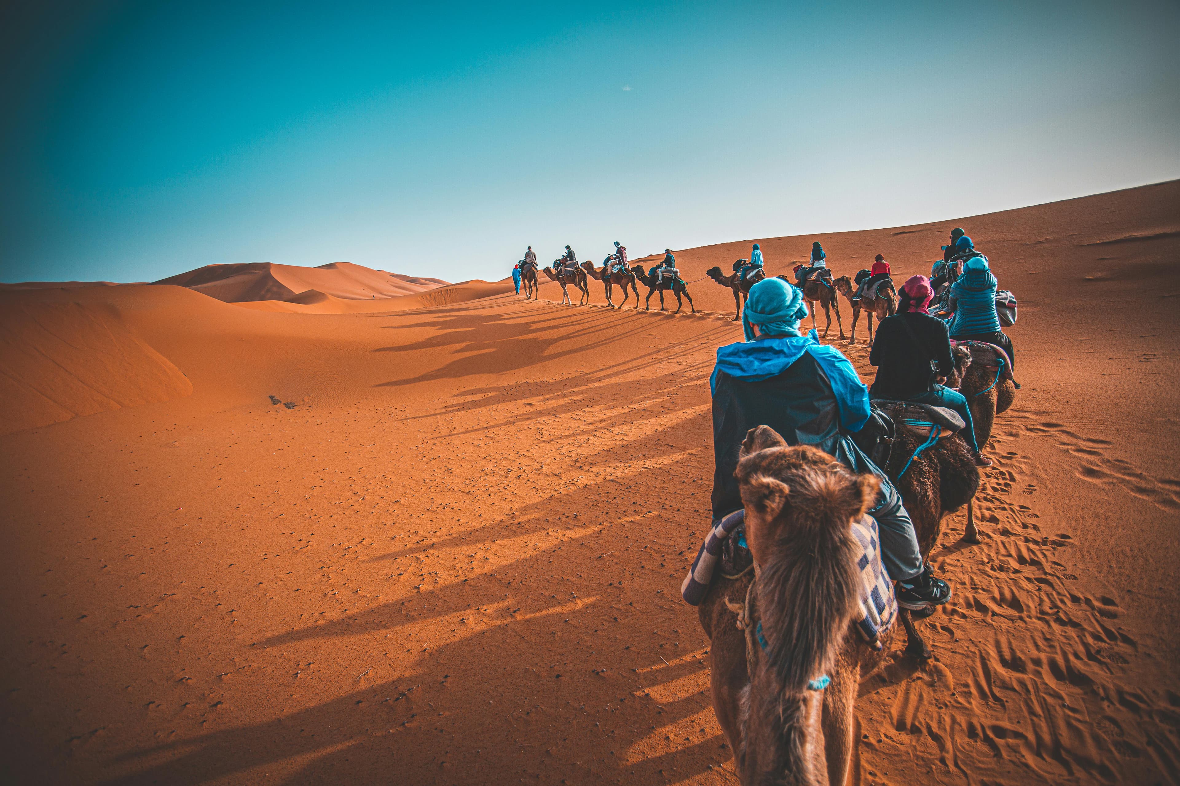 Camel caravan through the Sahara desert in Merzouga, Morocco at sunset